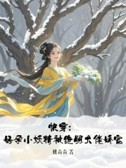 有没有快穿好孕小说